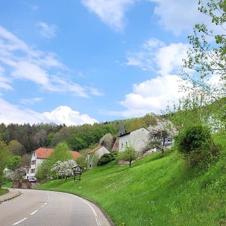Family House Διαμέρισμα Eberbach  Εξωτερικό φωτογραφία