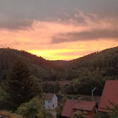 Family House Διαμέρισμα Eberbach  Εξωτερικό φωτογραφία