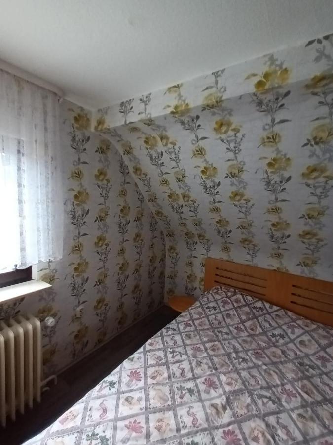 Family House Διαμέρισμα Eberbach  Εξωτερικό φωτογραφία