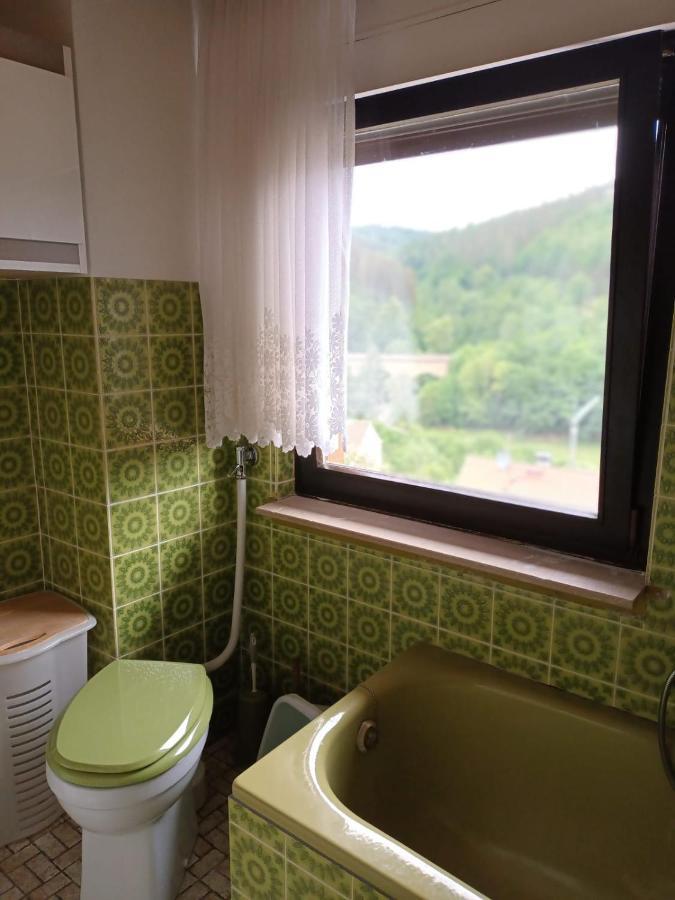 Family House Διαμέρισμα Eberbach  Εξωτερικό φωτογραφία