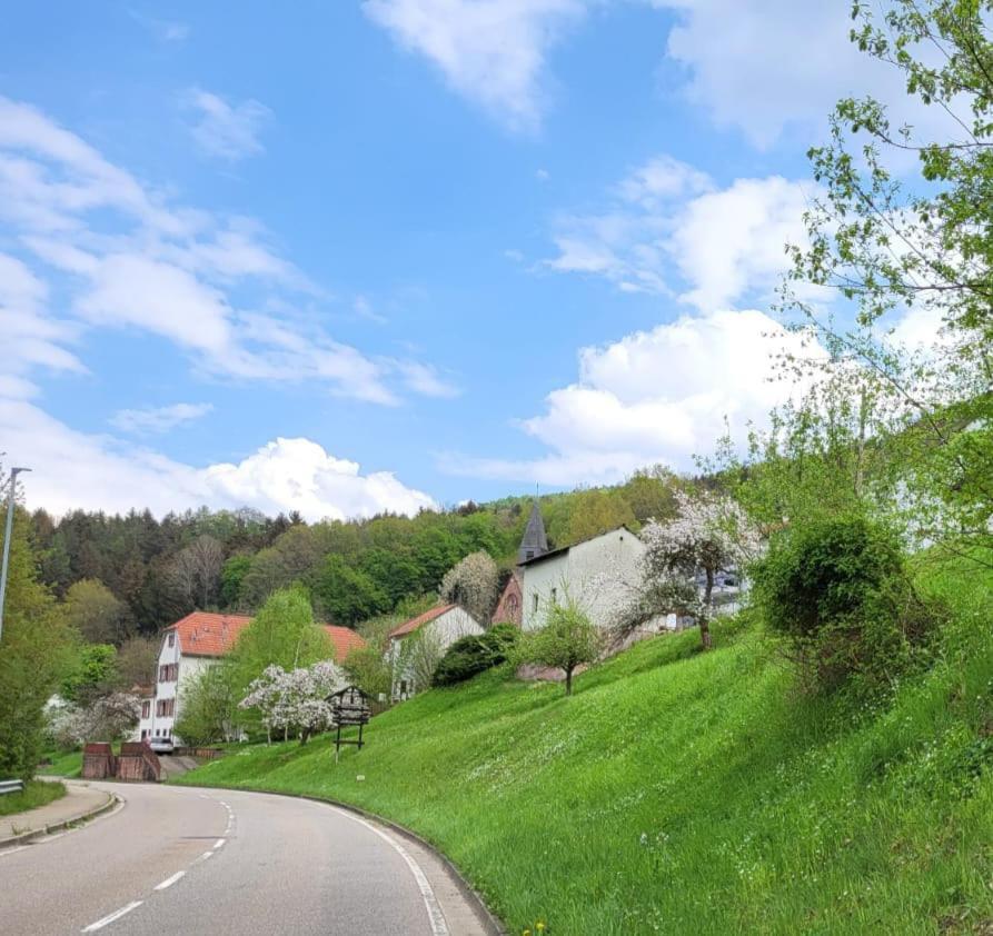 Family House Διαμέρισμα Eberbach  Εξωτερικό φωτογραφία
