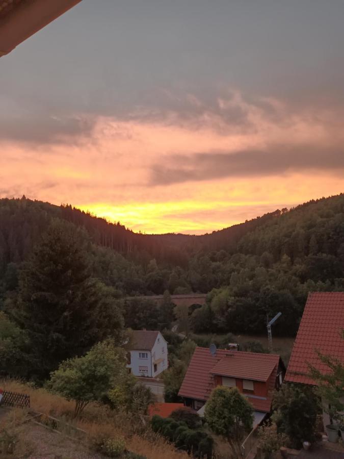 Family House Διαμέρισμα Eberbach  Εξωτερικό φωτογραφία